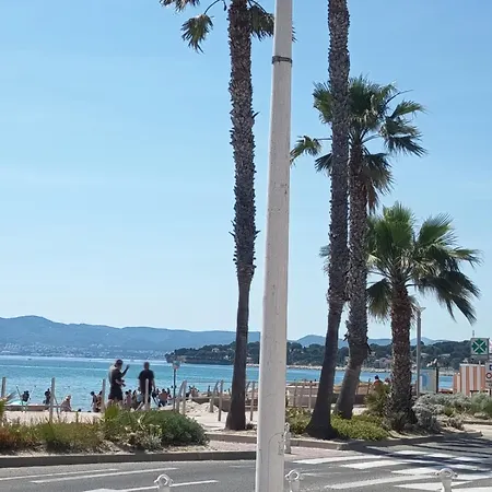 La Rose Des Sables *